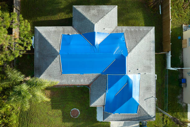 Best Roof Replacement  in Chesaning, MI