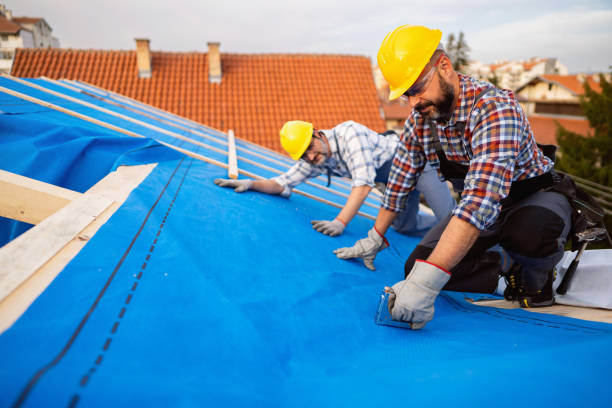 Best Roof Maintenance and Cleaning  in Chesaning, MI