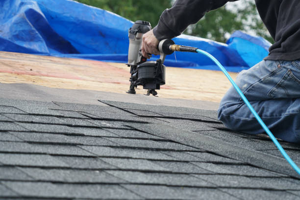 Best Rubber Roofing (EPDM, TPO)  in Chesaning, MI
