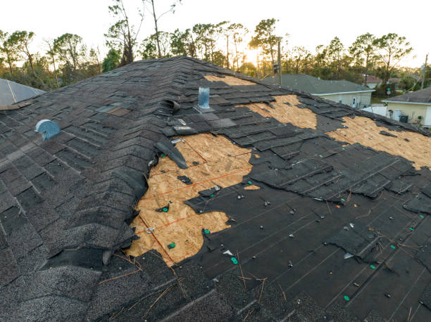 Best Roof Ventilation Installation  in Chesaning, MI