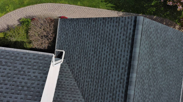 Best Roof Coating and Sealing  in Chesaning, MI