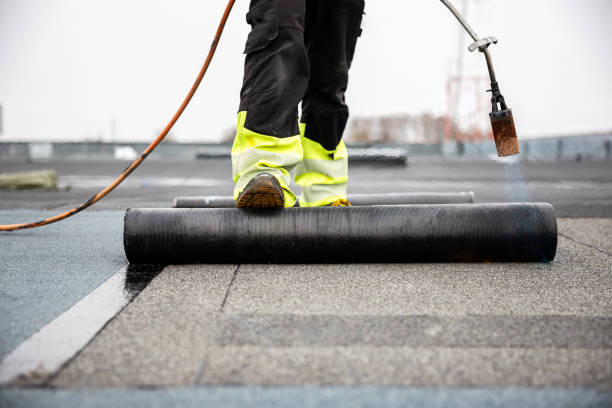 Best Skylight Installation and Repair  in Chesaning, MI